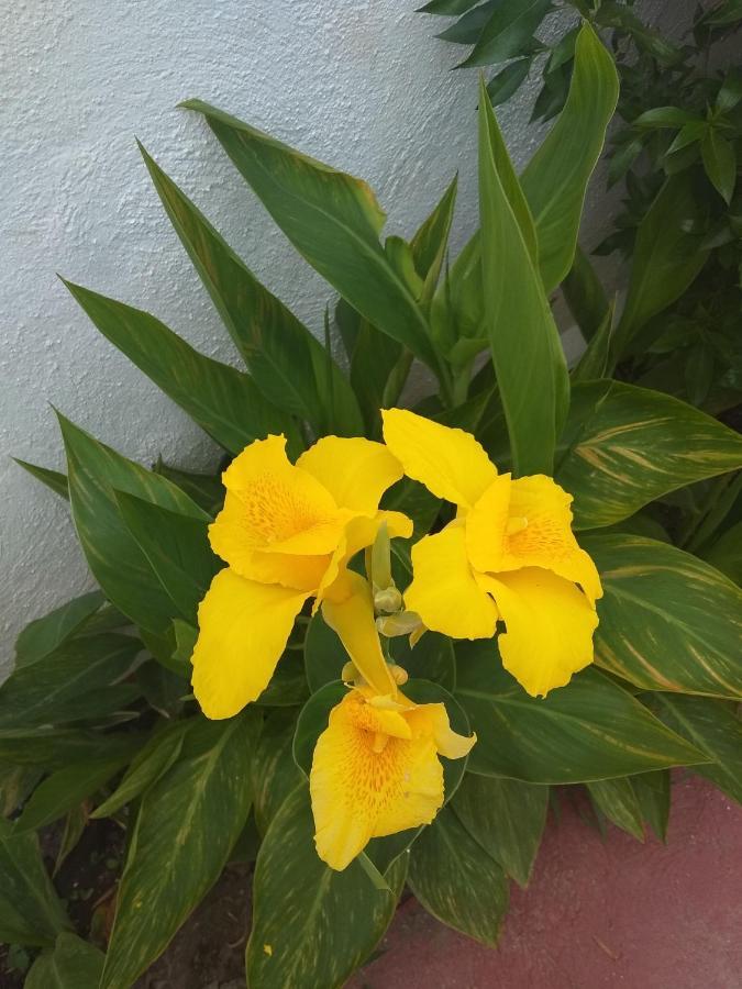 Apartamento Apartamento Laguna Beach, Torrox Costa,